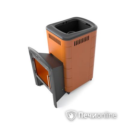 Дровяная печь-каменка TMF Тунгуска Cast Витра терракота в Бронницах