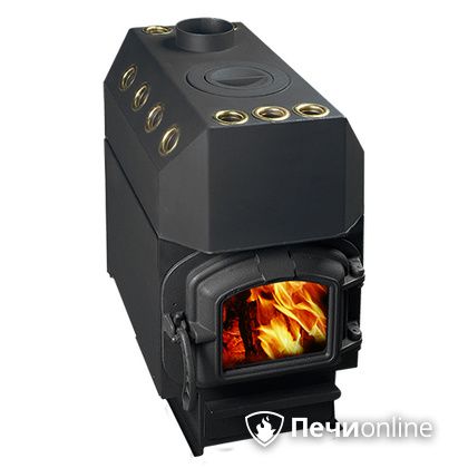 Печь буржуйка Конвектика Ставр 150 с варочной поверхностью и чугунной дверцей в Бронницах