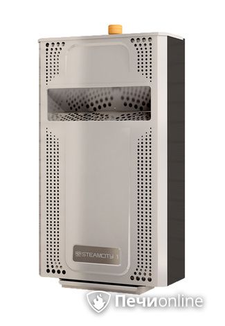 Электрическая печь Теплодар SteamCity-2 в Бронницах