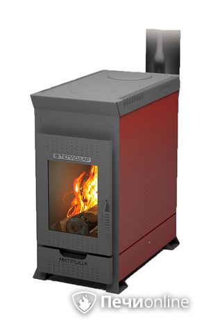 Печь буржуйка Теплодар Матрица -100  в Бронницах