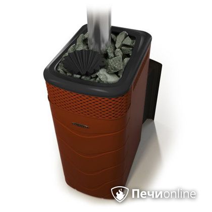 Дровяная банная печь TMF Гейзер XXL 2017 Inox Витра закрытая каменка терракота в Бронницах